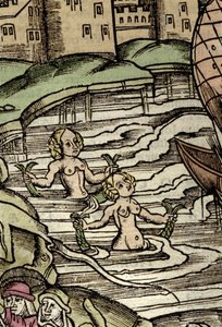 Rappresentazione delle sirene. Incisione del XVI secolo