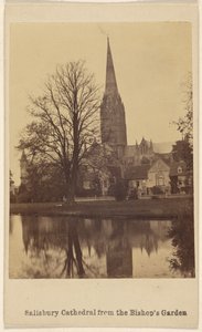 La Cattedrale di Salisbury dal Giardino del Vescovo da Unknown artist