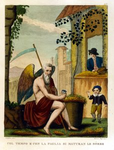 Detti: "Con il tempo e la paglia maturano le nespole e le ghiande" (il tempo fa maturare tutto), Illustrazione da una raccolta di proverbi. XIX secolo da Unknown artist