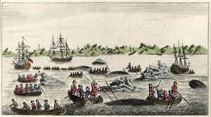 Scena di pesca alla balena in Groenlandia nel XVIII secolo, stampa popolare anonima del periodo da Unknown artist