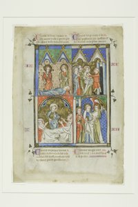 Scene dei miracoli di San Pietro, da una Bibbia Historiale o Nuovo Testamento Pittorico da Unknown artist