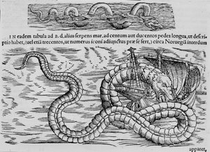 Serpente marino, creatura marina dopo Conrad Gesner
