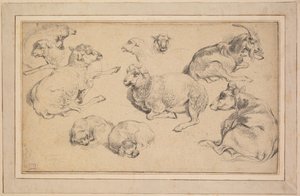 Foglio di studi con pecore, capre e cani da Unknown artist