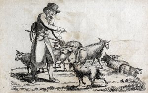 Pastore con il suo gregge di pecore. Incisione fine XVIII secolo.