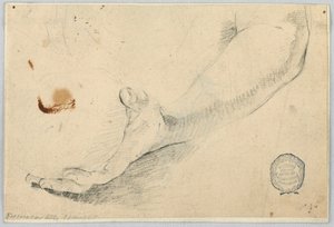 Schizzo: avambraccio da Unknown artist