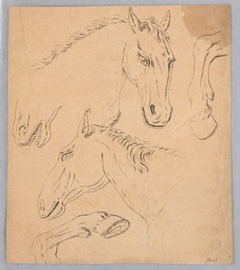 Schizzi di teste e zoccoli di cavallo da Unknown artist