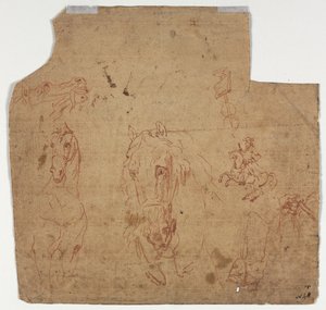 Schizzi di cavalli e cavalieri (recto) da Unknown artist