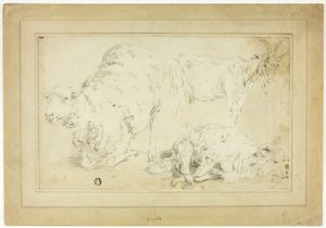Schizzi di Pecore e Capre da Unknown artist