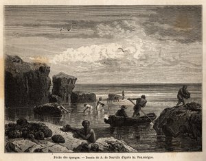 Pesca di spugne dagli isolani dell