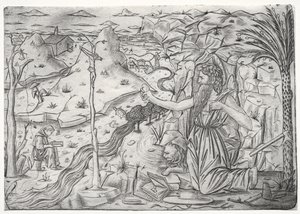 San Girolamo in penitenza da Unknown artist