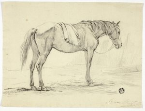Cavallo in piedi