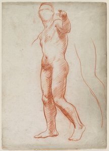 Nudo maschile in piedi