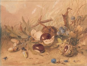 Natura morta con ghiande e castagne da Unknown artist
