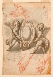Studi di mani e putti con uno scudo da Unknown artist