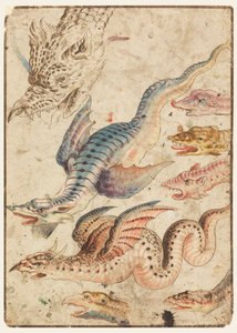 Studi di un drago da Unknown artist