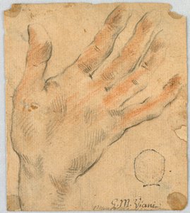 Studio: una mano sinistra da Unknown artist