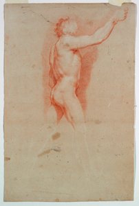 Studio: Un nudo da Unknown artist