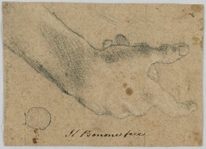 Studio: Una mano destra