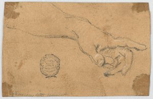 Studio: Un avambraccio sinistro e mano tesi