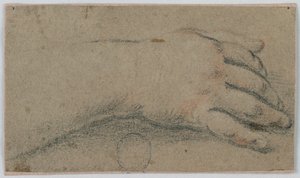 Studio: La mano destra di una donna