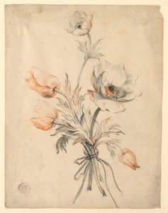 Studio di un mazzo di rose