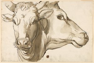 Studio di una Mucca da Unknown artist