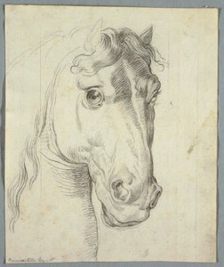 Studio di un cavallo da Unknown artist