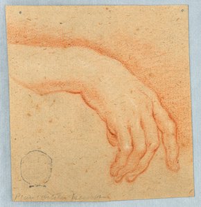 Studio di una mano destra