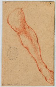 Studio della gamba sinistra di una donna seduta da Unknown artist