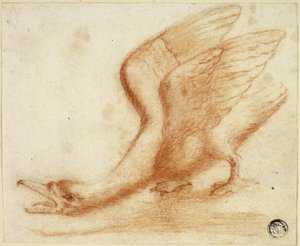 Cigno da Unknown artist