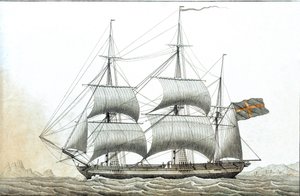Nave mercantile svedese (stampa del XVIII secolo) da Unknown artist