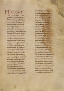 Pagina di testo