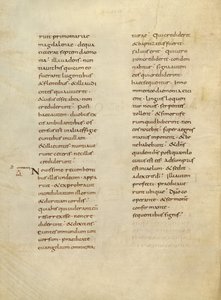 Pagina di testo da Unknown artist