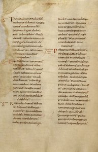 Pagina di testo