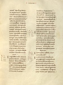Pagina di testo da Unknown artist