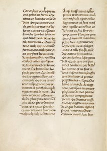 Pagina di testo
