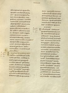 Pagina di testo da Unknown artist