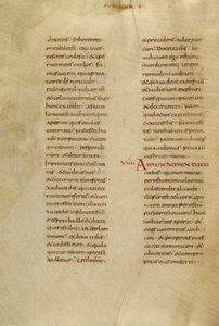 Pagina di testo da Unknown artist
