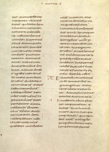 Pagina di testo da Unknown artist