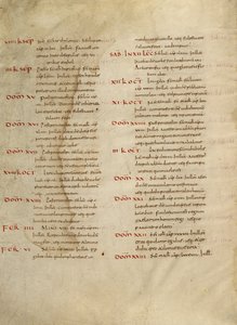 Pagina di testo
