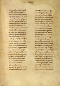 Pagina di testo
