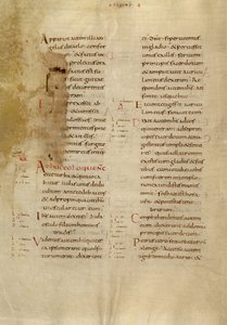 Pagina di testo