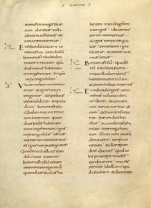 Pagina di testo da Unknown artist