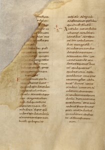 Pagina di testo