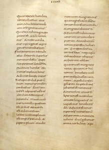 Pagina di testo da Unknown artist