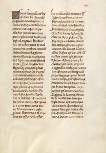 Pagina di testo