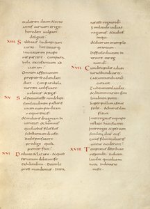 Pagina di testo