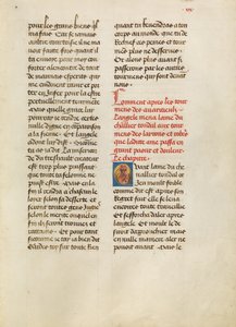 Pagina di testo da Unknown artist