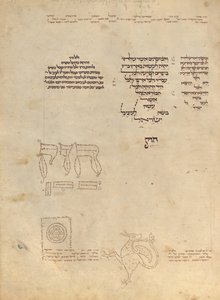 Pagina di testo