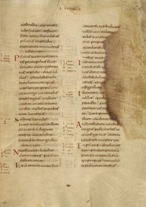 Pagina di testo